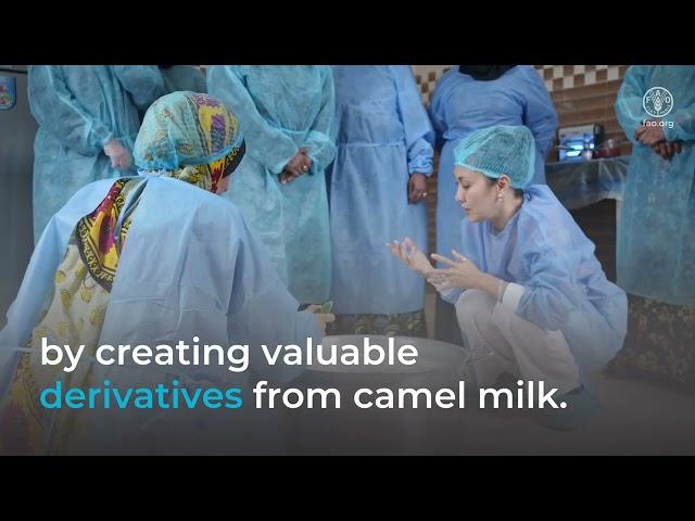 Women of Dhofar redefining camel milk