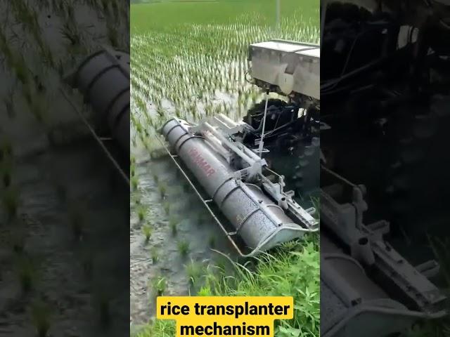 rice transplanter mechanism | mini tractor |