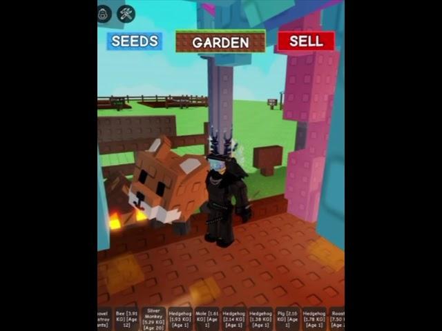 getting the red fox from grow a garden! #growagarden #redfoxgrowagarden #redfox #fox #roblox #fyp