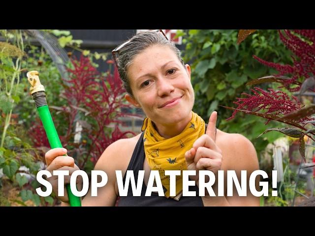 Watering Your Garden, the Lazy Way