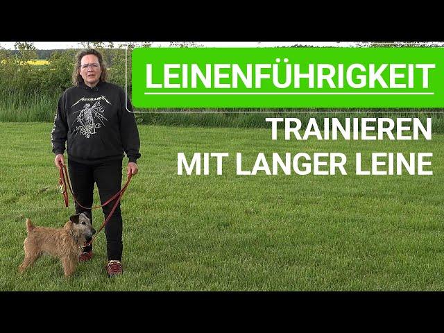  Leinenführigkeit trainieren, mit langer Leine! ️ Praxisvideo ️