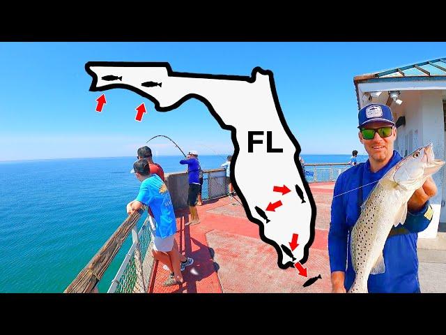 3 Days Catching Every Fish in Florida from Land! *Part 1*