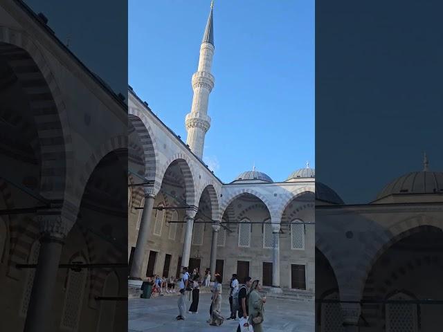 Blue Mosque / Sultan Ahmed Mosque in Turkey  #turkey #travel #bluemosque #shorts