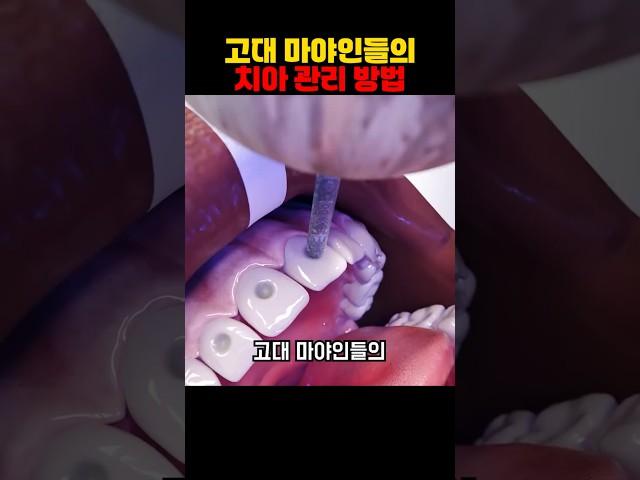 고대 마야인들의 치아 관리 방법