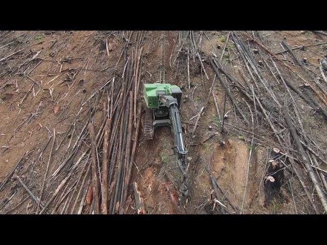 Logging in Western Oregon