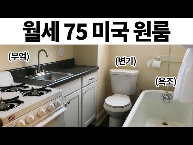 웃긴 짤들 249편