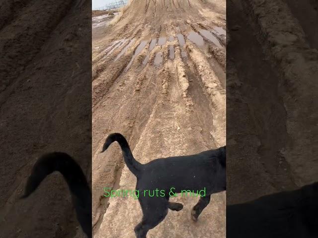 Stop snowing !!!! #family #supercross #arenacross #dog #dirtbike #moto #motocross #motogp #ruts