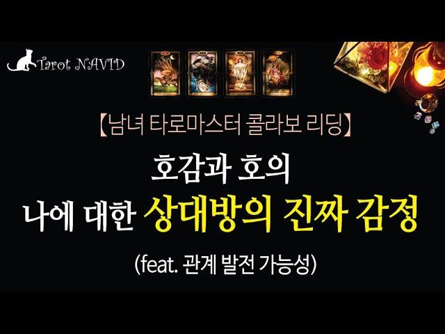 [타로/연애운] 나에 대한 상대방의 감정은 호감일까? 호의일까? 관계 발전 가능성은?