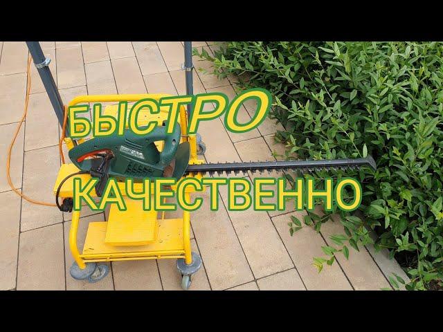 КАК БЫСТРО ПОДСТРИЧЬ ЖИВУЮ ИЗГОРОДЬ