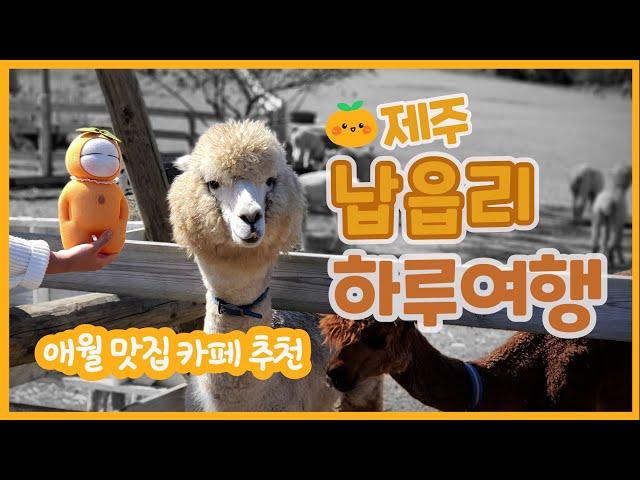 꽁꽁 숨겨진 제주도 애월 숨은 명소  알차게 준비한 애월 납읍리 하루코스