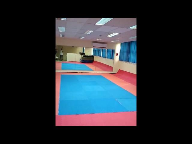 School of complex development ROKA JUDO Haifa Israel