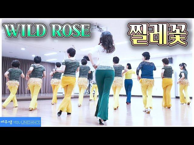 찔레꽃 라인댄스 (Wild Rose Line Dance)경기용인