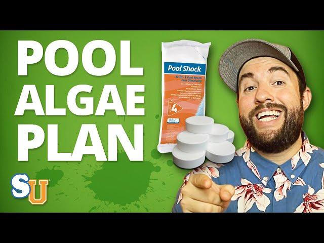 Emergency GREEN POOL WATER Plan [Step-By-Step Guide]