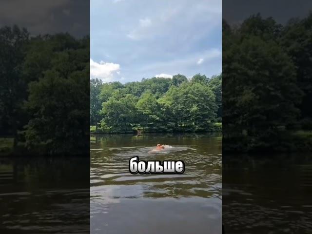 Друзья! Настоящие  качества  проявляются в  действиях.”Инвестируйте -ПУТЬ к результату - ВАШ ДОХОД!"