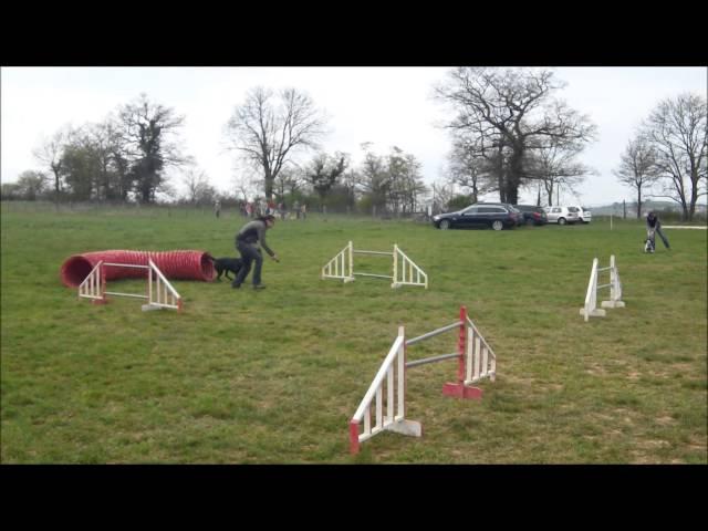 Agility   laure&tinga