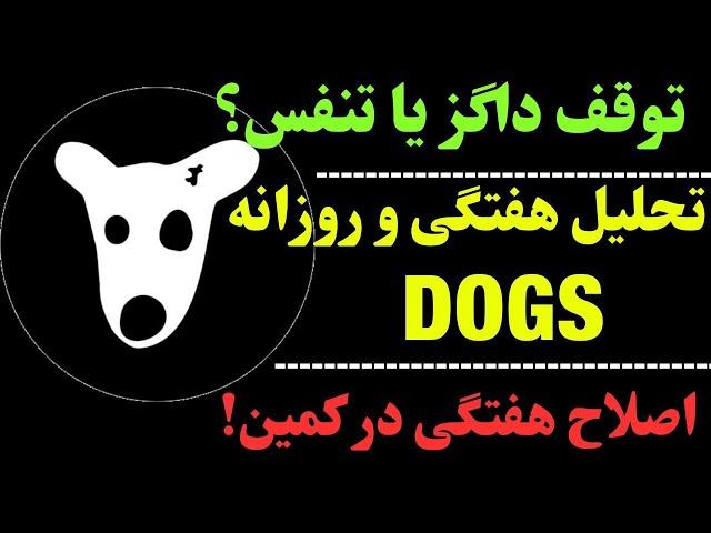 تحلیل ارز داگز | در این هفته چه می‌شود؟ | بررسی DOGS