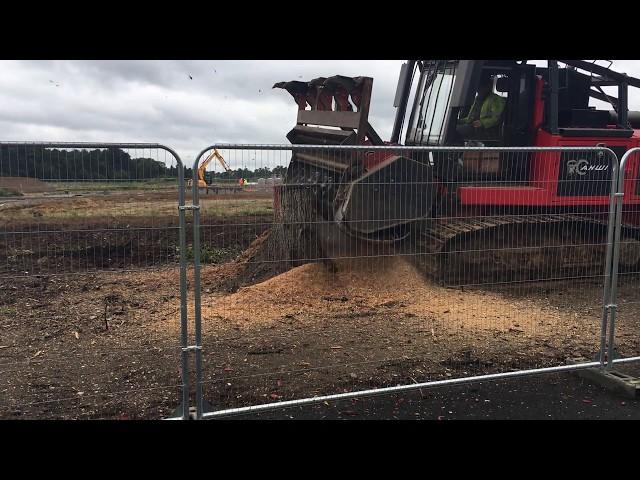 Prinoth/AHWI RT400: Destroys huge Oak stump in 2 minutes.
