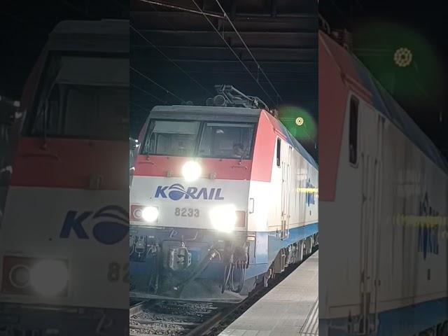 #경부선 #1356 #부산역 #무궁화호