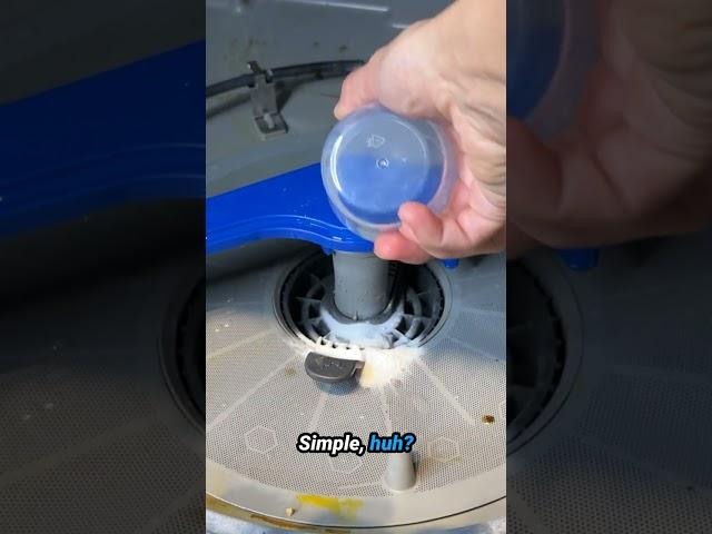 Cheap Tricks to Get Your Dishwasher Flowing Again!