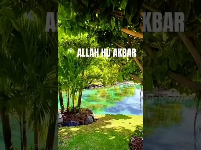 Quran Urdu translation#allahuakbar #allah #quranurdu