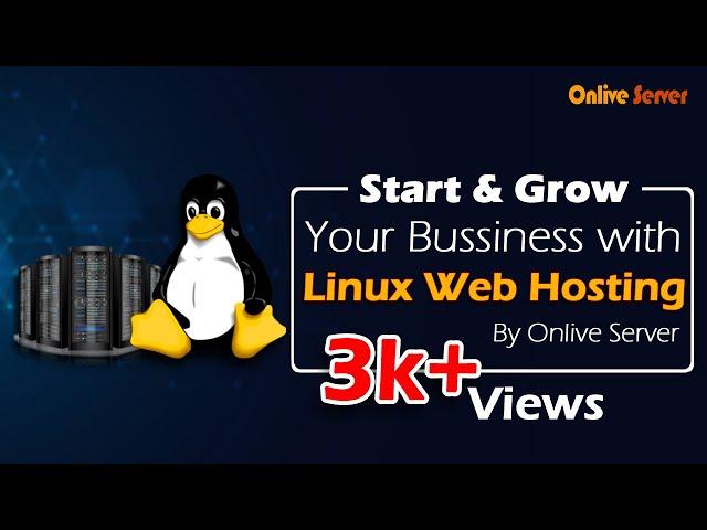 Start & Grow Your Business With Linux Web Hosting by Onlive Server