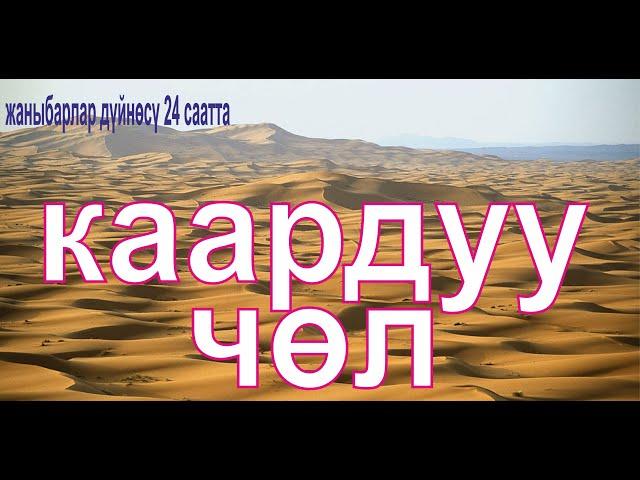 Жаныбарлар  дуйносу. Жапайы жаныбарлар 24 саата. Каардуу чөл.