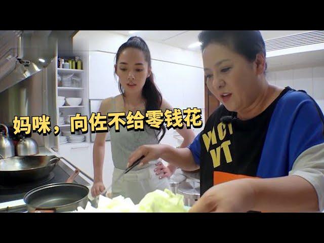 郭碧婷跟婆婆哭诉：向佐不给零钱花！婆婆随口一句，暴露真实家底（向华强）（向太）（音乐哼叽叽）