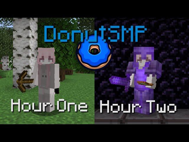 How I filled my STASH on DonutSMP