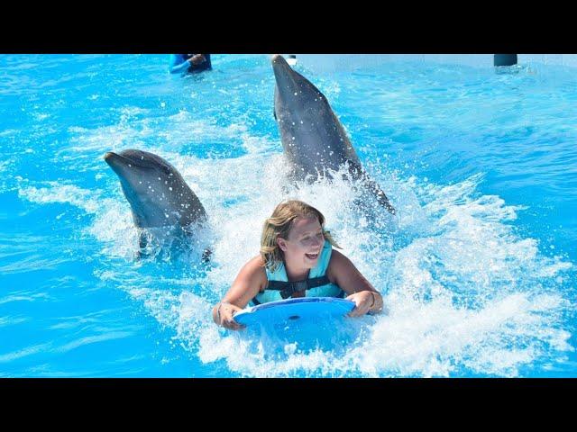 DOMINICAN REPUBLIC VLOG | MONKEYLAND, SWIMMING WITH DOLPHINS, SHARKS AND STINGRAYS, PUNTA CANA