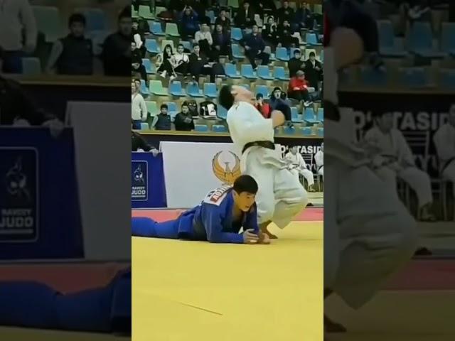 ippon judo