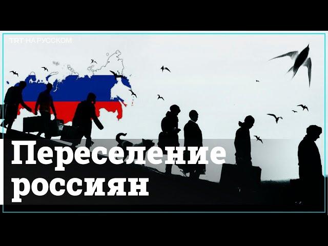 В какие страны бегут россияне после начала войны в Украине