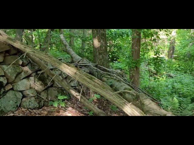 1700s Smallpox Cemetery In Connecticut