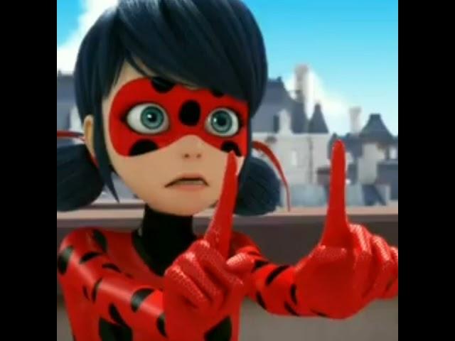 Ladybug or Antibug? who is your best️