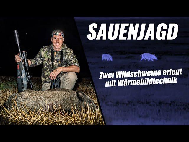 Sauenjagd bei Nacht: Präzise Wildschweinabschüsse mit Wärmebildtechnik | JAGD TOTAL