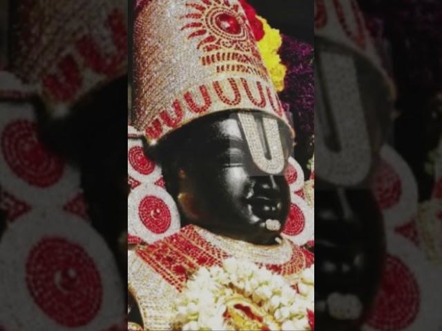 om namo venkateshaya #youtubeshorts #ytshortsvideo #devotional