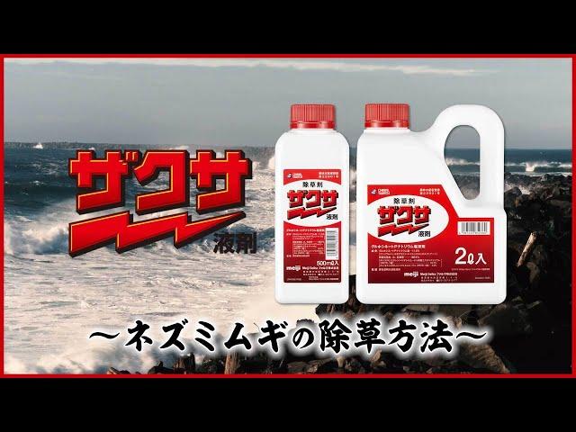 ザクサ侍　伍番勝負　～ネズミムギ編～
