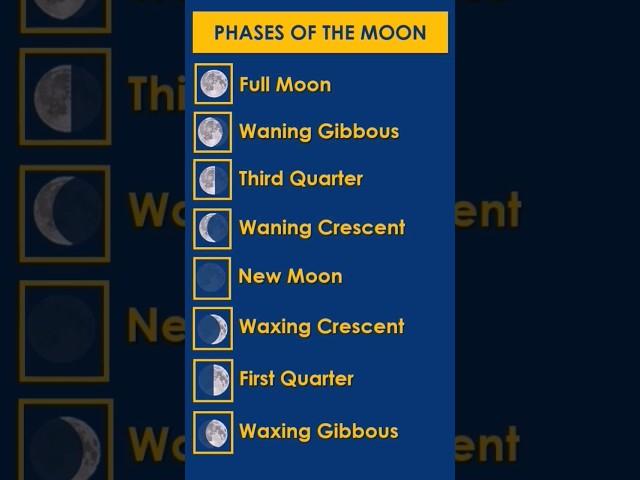 What Are the Moon's Phases? #vocabulary