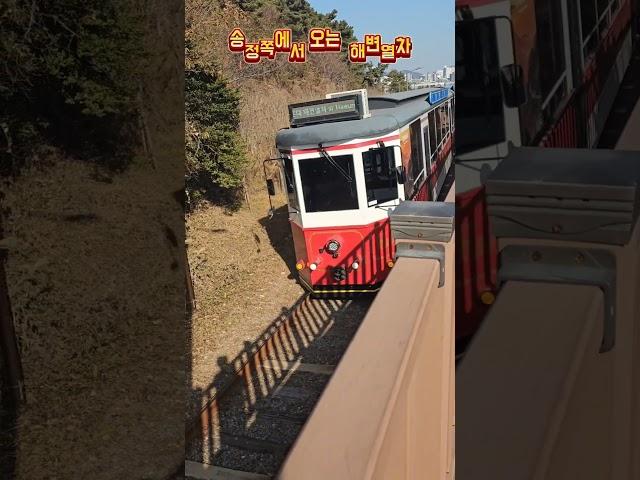 기차타고 해변여행