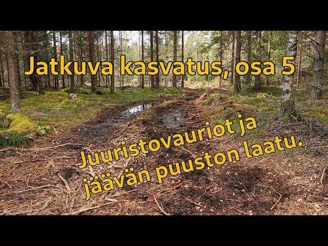 Jatkuva kasvatus, ajovauriot ja jäävä puusto, osa 5. | Continuous cover silviculture, part 5