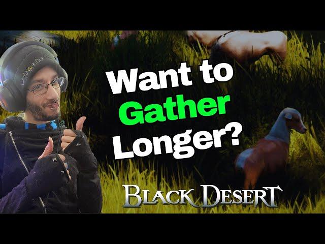 Teddy Twighlite's Tips to Keep Gathering Longer in Black Desert Online