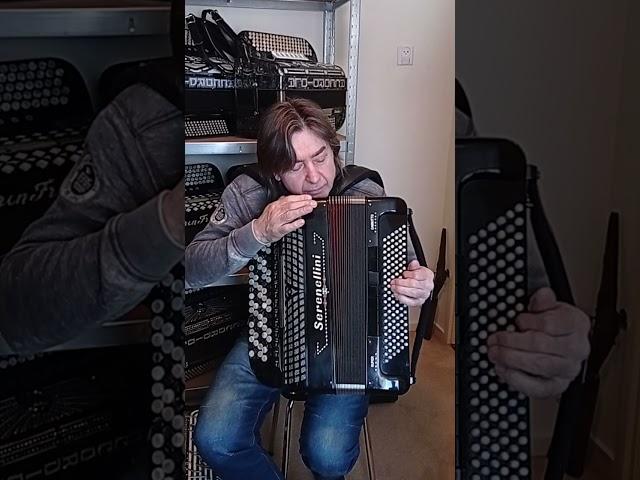 Купить баян в Германии/kaufen/to buy/Serenellini/Cassotto/обзор/2000euro