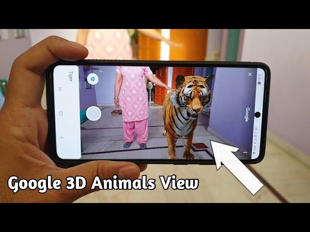 How to View Google 3D Animals in Your Mobile \ AR Feature