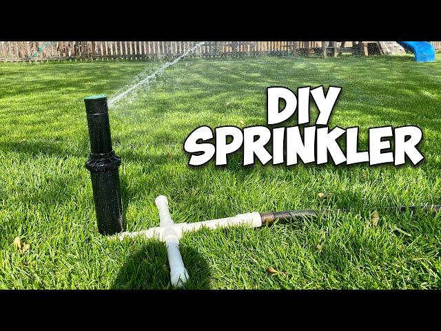 What They Don't Tell You About DIY Sprinklers