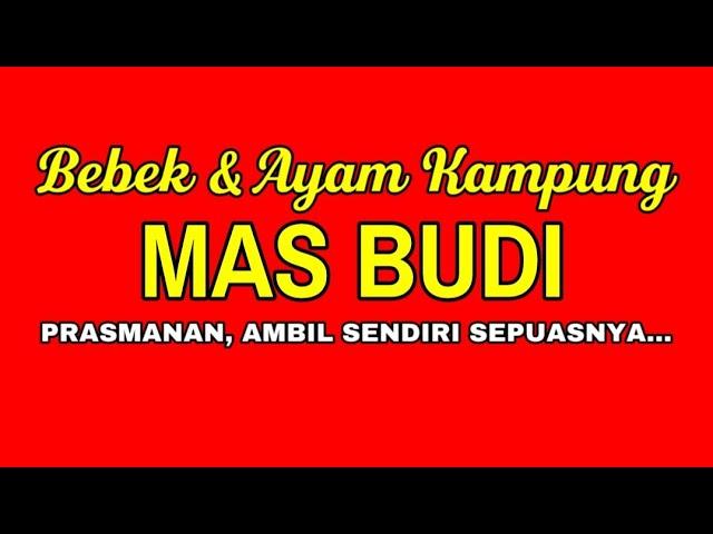 Cabang Ciledug Tangerang | Bebek & Ayam Kampung Mas Budi | Kuliner Tangerang | Kuliner keluarga