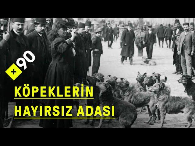 Hayırsız Ada'da ne oldu? | "Kokunun ve sesin, 6 ay boyunca duyulduğunu biliyoruz"