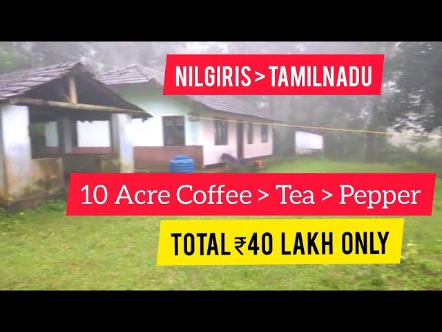 10 Acre Tea Coffee Pepper Agricultural Land For Sale | Nilgiris | Tamilnadu (Total 40 Lakh)