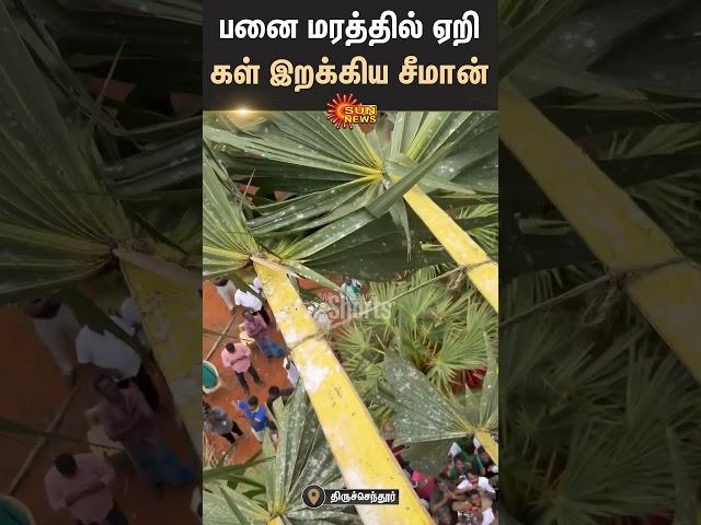 Seeman | Panamara kallu | Farmers | Thoothukudi | Shorts | Sun News
