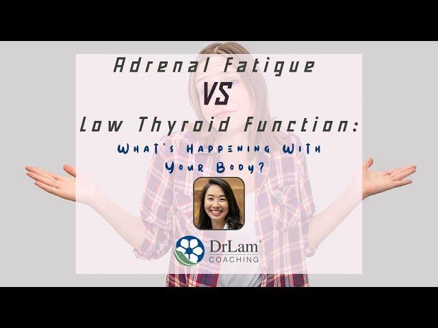 Adrenal Fatigue VS Low Thyroid Function: What’s Happening With Your Body?