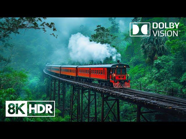 Nature’s Hidden Beauties in 8K HDR Dolby Vision 60FPS