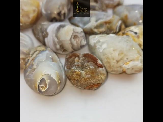 Natural Conch Shell/Conch Druzy gemstone Cabochon, Loose Gemstone lot #shortsvideo #shorts